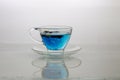 Blue butterfly pea flower tea tea Royalty Free Stock Photo