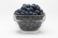 A cup of blueberries Royalty Free Stock Photo