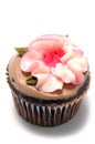 Cup cake Royalty Free Stock Photo