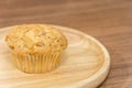 Cup cake with almond topping Royalty Free Stock Photo