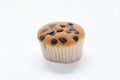 Cup cake chocolate chip on white background. Royalty Free Stock Photo