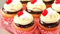 Cup cake chocolate topped Cherry. Royalty Free Stock Photo