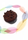 Cup cake with pretty leaves background Royalty Free Stock Photo