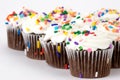 Cup cakes Royalty Free Stock Photo
