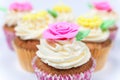 Cup Cakes With Colorful Flowers and Icing or Frosting Royalty Free Stock Photo