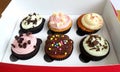 Cup cakes in take out box Royalty Free Stock Photo