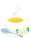 Cup of camomile