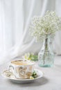 Cup of camomile tea, morning still-life, Royalty Free Stock Photo