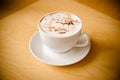 Cup of cappucchino Royalty Free Stock Photo