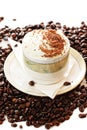 Cup of cappuccino coffee on beans Royalty Free Stock Photo