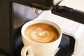 Cup of cappuccino coffee freshly made on coffee machine with creamy milk froth Royalty Free Stock Photo