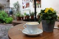 Cup of cappuccino with pansies in a pot on the table