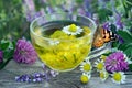 Cup of chamomile and linden tea on a wooden table. butterfly painted lady sitting on a cup of herbal tea. herbal tea. cold and flu Royalty Free Stock Photo