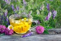 Cup of chamomile and linden tea on a wooden table. butterfly painted lady sitting on a cup of herbal tea. herbal tea. cold and flu Royalty Free Stock Photo