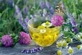 Cup of chamomile and linden tea on a wooden table. butterfly painted lady sitting on a cup of herbal tea. herbal tea. cold and flu Royalty Free Stock Photo