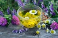 Cup of chamomile and linden tea on a wooden table. butterfly painted lady sitting on a cup of herbal tea. herbal tea. cold and flu Royalty Free Stock Photo