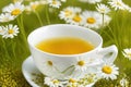 cup with chamomile tea on a background of chamomile flowers and around, ai generative Royalty Free Stock Photo