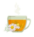 Cup of Chamomile tea. Royalty Free Stock Photo