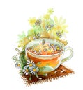 A cup of chamomile tea on a fabric rug with a bouquet of daisies. Watercolor illustration, handmade Royalty Free Stock Photo