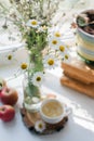 Cup of chamomile tea with chamomile flowers. Cup of organic, anti-inflammatory, antimicrobial herbal tea with fresh chamomile