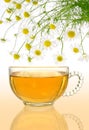 Cup of chamomile tea with fresh chamomilla flowers