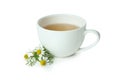 Cup of chamomile tea isolated on white background Royalty Free Stock Photo