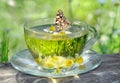 Cup of chamomile tea on a wooden table. butterfly painted lady sitting on a cup of herbal tea. herbal tea. cold and flu remedy. Royalty Free Stock Photo