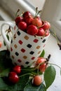 Cup with cherries - leaves and cherries around Royalty Free Stock Photo