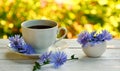 Cup with chicory  blue flowers of chicory on white wooden table. Royalty Free Stock Photo