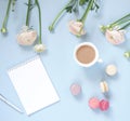 Cup of cocoa, macaroons cookies colorful in pastel colors , delicate pink ranunculus flowers and notebook on a pale blue backgroun Royalty Free Stock Photo