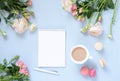 Cup of cocoa, macaroons cookies colorful in pastel colors , delicate pink ranunculus flowers and notebook on a pale blue backgroun Royalty Free Stock Photo