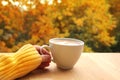 Cup of cocoa with milk or cappuccino in hand on a background of yellow and orange tree leaves, autumn mood concept, close-up Royalty Free Stock Photo