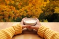 Cup of cocoa with milk or cappuccino in the hands of a girl in a yellow sweater, outdoors with a view of yellow and orange trees, Royalty Free Stock Photo