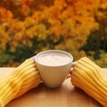 Cup of cocoa with milk or cappuccino in the hands of a girl in a yellow sweater, outdoors with a view of yellow and orange trees, Royalty Free Stock Photo