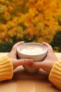 Cup of cocoa with milk or cappuccino in the hands of a girl in a yellow sweater, outdoors with a view of yellow and orange trees, Royalty Free Stock Photo