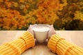 Cup of cocoa with milk or cappuccino in the hands of a girl in a yellow sweater, outdoors with a view of yellow and orange trees, Royalty Free Stock Photo