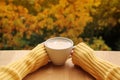 Cup of cocoa with milk or cappuccino in the hands of a girl in a yellow sweater, outdoors with a view of yellow and orange trees, Royalty Free Stock Photo