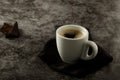 Cup of coffe Cappuccino with milk on a dark background. Hot coffe ,latte or Cappuccino prepared with milk on a wooden table with