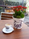 Cup of coffe and flowers