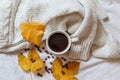 Autumn Awakening: A Cup of Warmth and Delight Royalty Free Stock Photo