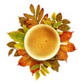 Cup of coffee with autumn decoration from dry colored and gold g Royalty Free Stock Photo