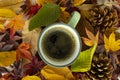 Cup of coffee with autumn decoration from dry colored leaves Royalty Free Stock Photo