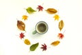 Cup of coffee with autumn decoration from dry colored leaves Royalty Free Stock Photo