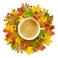 Cup of coffee with autumn decoration from dry colored leaves Royalty Free Stock Photo