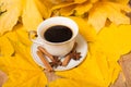 Cup of coffee and autumn leaves Royalty Free Stock Photo