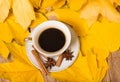 Cup of coffee and autumn leaves Royalty Free Stock Photo