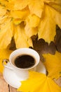 Cup of coffee and autumn leaves Royalty Free Stock Photo