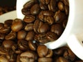 Cup and coffee beans Royalty Free Stock Photo