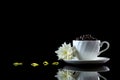 Cup with coffee beans anf white chrysanthemum on a black reflecti