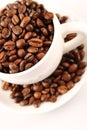 Cup of coffee beans Royalty Free Stock Photo